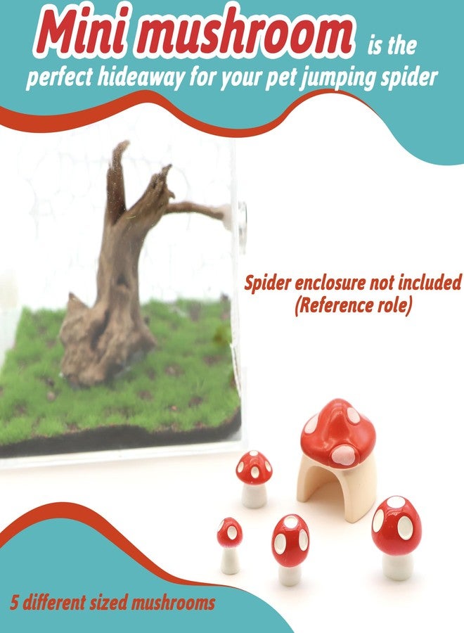 LUTQ 5 Pack Jumping Spider Habitat Decor with Mushroom Hide - Resin Spider Accessories and Enclosure Accessories - Image 3